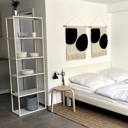 1-Zimmer-Apartment Am Bodensee Überlingen Kültér fotó