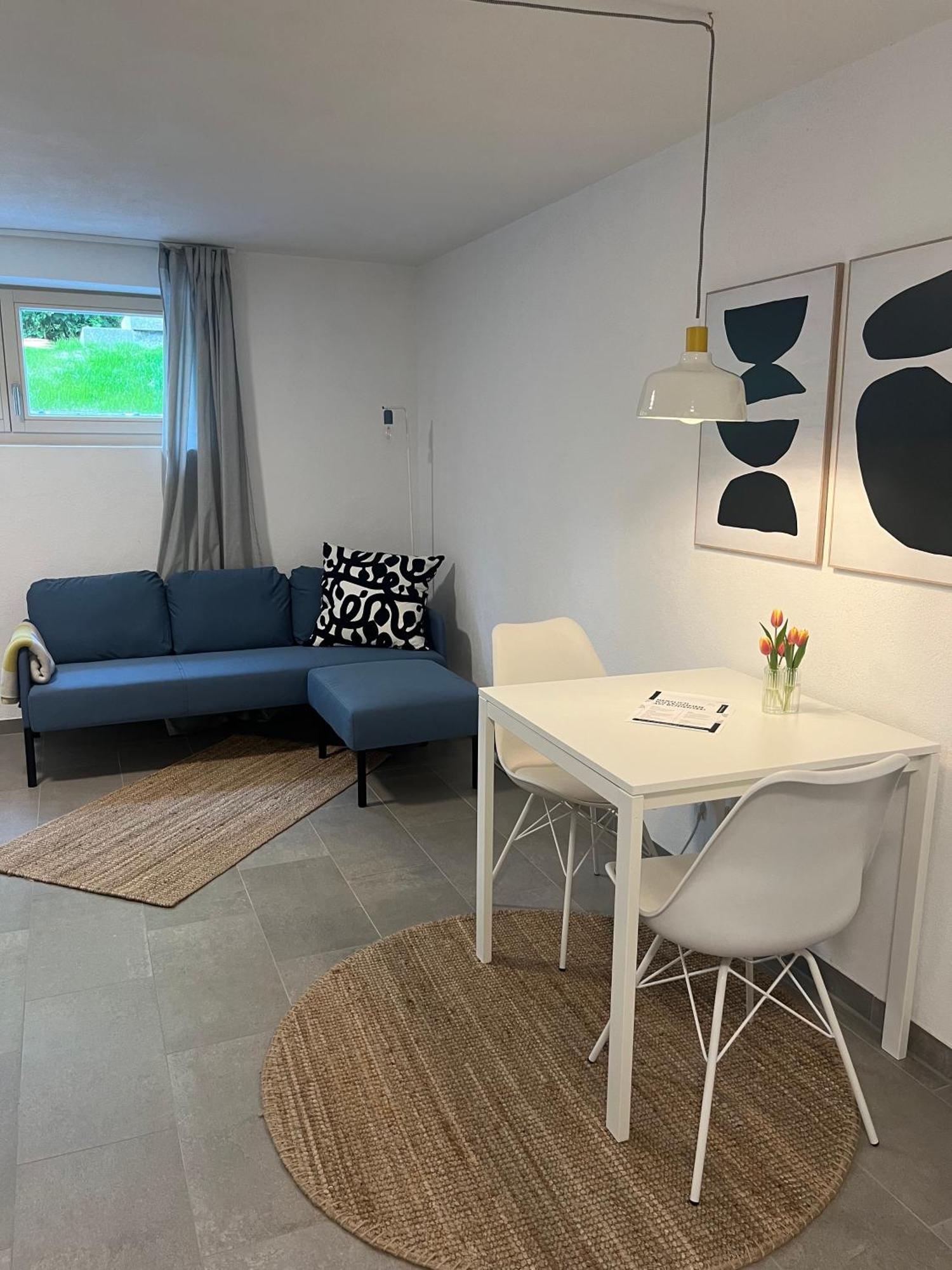 1-Zimmer-Apartment Am Bodensee Überlingen Kültér fotó